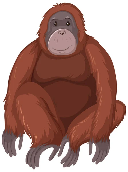 Orangutang Vilda Djur Vit Bakgrund Illustration — Stock vektor