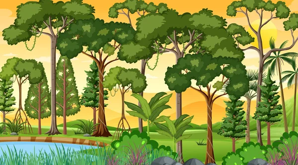 Сцена Лесного Ландшафта Закате Различными Иллюстрациями Деревьев — стоковый вектор