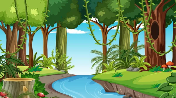 Gündüz vakti birçok farklı ağaç resimli orman manzarası