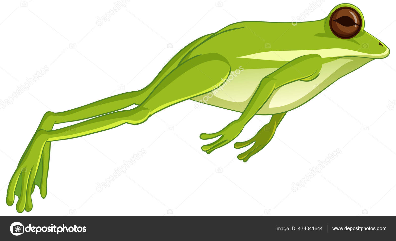 460 ilustraciones de stock de Rana saltando | Depositphotos 460 ilustraciones de stock de Rana saltando | Depositphotos