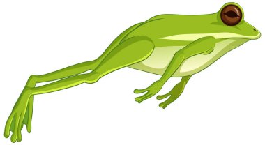 Green tree frog jumping isolated on white background illustration clipart