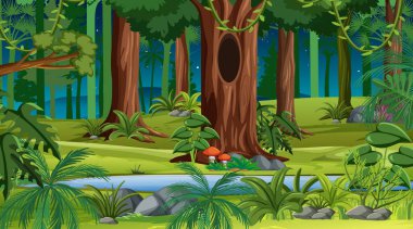 Orman manzarası geceleri çok farklı ağaç resimleriyle dolu.