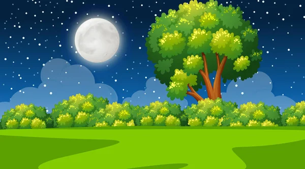 Natura Paesaggio Forestale Notte Scena Illustrazione — Vettoriale Stock