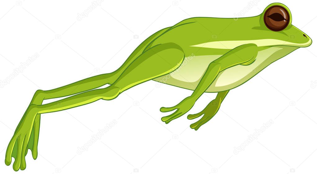 Green tree frog jumping isolated on white background illustration