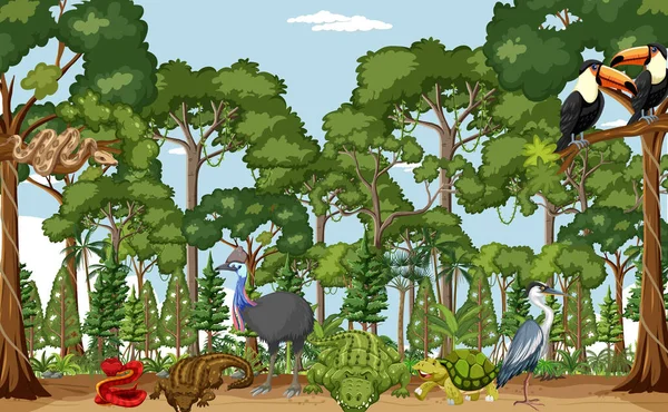 Scena Lasów Deszczowych Dzikimi Zwierzętami Ilustracja — Wektor stockowy