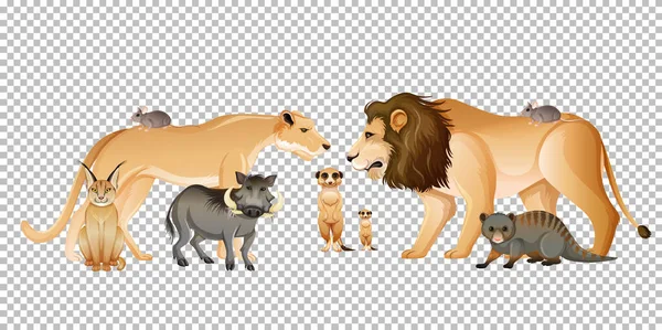 Grupo Animais Africanos Selvagens Sobre Ilustração Fundo Transparente — Vetor de Stock