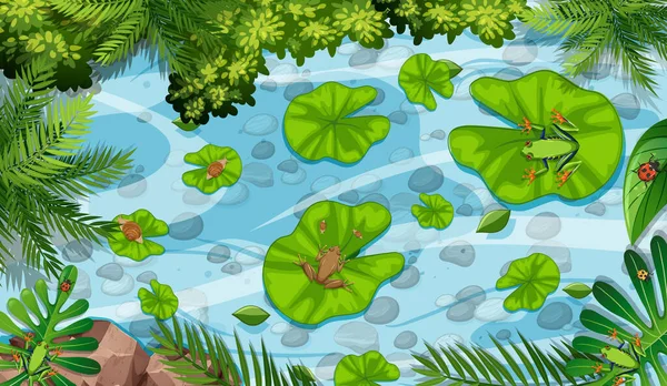 Gölette Kurbağa Nilüfer Yapraklı Hava Sahnesi — Stok Vektör