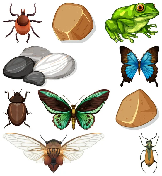 Verschillende Soorten Insecten Met Natuurelementen Illustratie — Stockvector