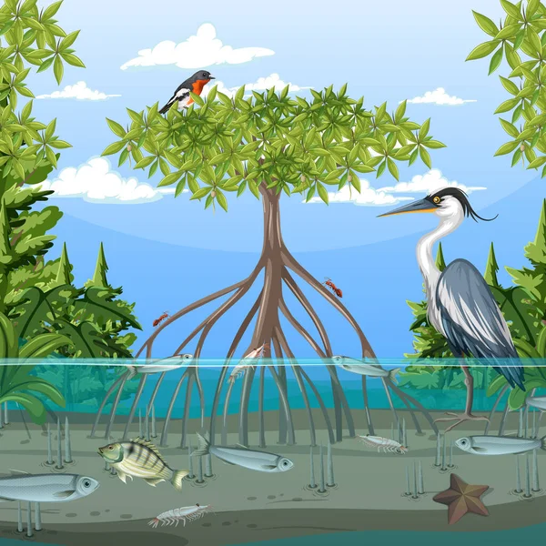 Mangrove Scène Forêt Jour Avec Des Animaux Illustration — Image vectorielle