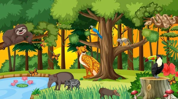 Floresta Pôr Sol Cena Tempo Com Diferentes Animais Selvagens Ilustração —  Vetores de Stock