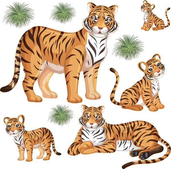 Nahtloses Muster Mit Wildem Tiger Vielen Posen Auf Weißem Hintergrund — Stockvektor