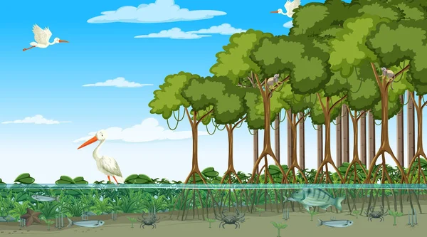 Mangrove Δασική Σκηνή Την Ημέρα Ζώα Εικονογράφηση — Διανυσματικό Αρχείο