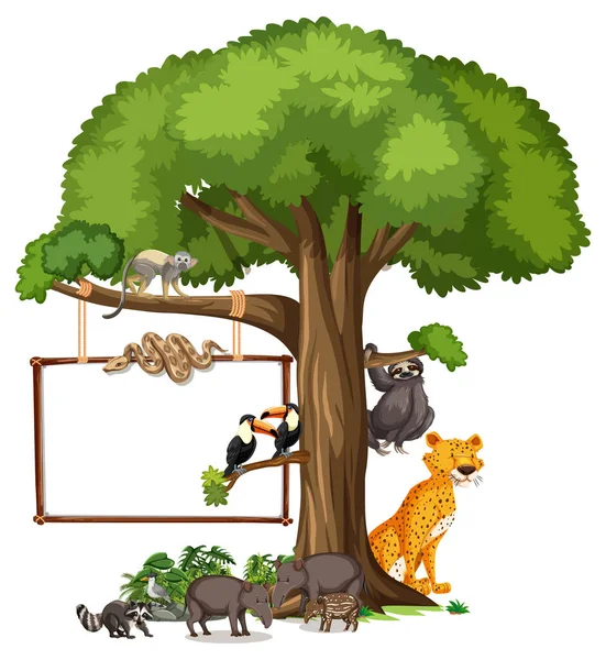 Bannière Vide Avec Animaux Sauvages Arbres Forêt Tropicale Sur Fond — Image vectorielle
