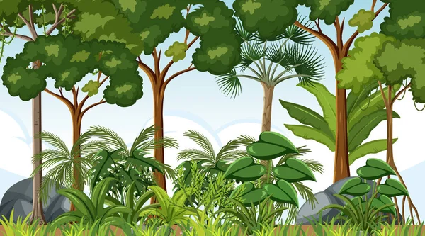 Boslandschap Scene Dag Tijd Met Veel Bomen Illustratie — Stockvector