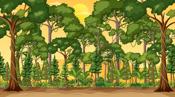 Paisagem Florestal Cena Pôr Sol Tempo Ilustração — Vetor de Stock