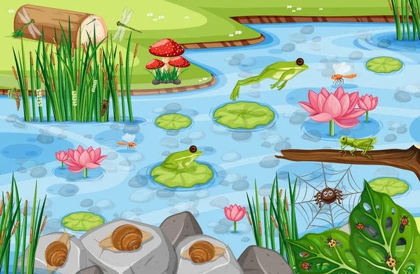 Pond Scene Many Green Frogs Illustration — Stock Vector