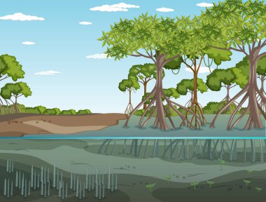 Mangrove orman manzarası gündüz illüstrasyonu