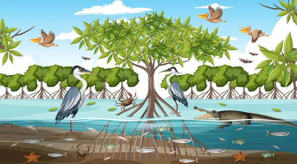 Mangrove Bos Landschap Scène Overdag Met Veel Verschillende Dieren Illustratie — Stockvector