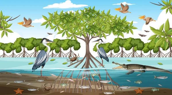 Mangrove Paysage Forestier Scène Jour Avec Nombreux Animaux Différents Illustration — Image vectorielle