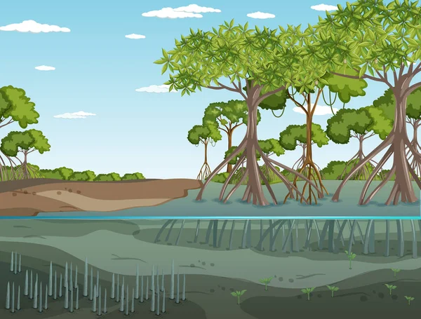 Mangrowe Las Krajobraz Scena Dzień Ilustracja — Wektor stockowy