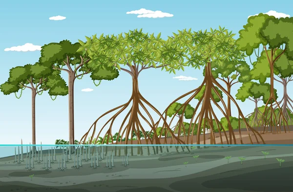 Mangrove Paysage Forestier Scène Illustration Jour — Image vectorielle