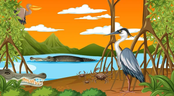 Dieren Leven Mangrove Bos Bij Zonsondergang Tijd Scène Illustratie — Stockvector