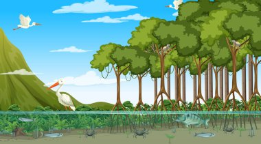 Hayvanlar gündüz vakti Mangrove ormanlarında yaşar.