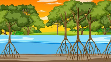 Mangrove Ormanı 'nın gün batımında doğa sahnesi. Çizgi film stili illüstrasyonunda.