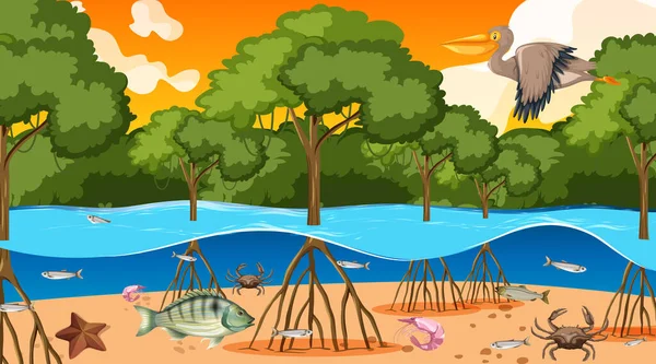 動物は日没時のシーンのイラストでマングローブ林に住んでいます — ストックベクタ