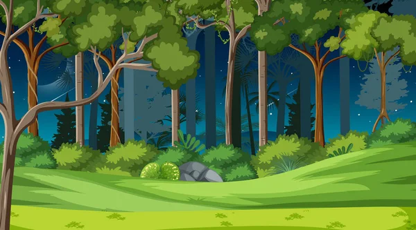 Scena Krajobraz Lasu Nocy Wielu Różnych Drzew Ilustracji — Wektor stockowy