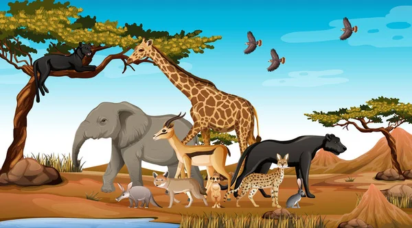Ομάδα Άγριων Αφρικανικών Ζώων Στην Απεικόνιση Της Δασικής Σκηνής — Διανυσματικό Αρχείο