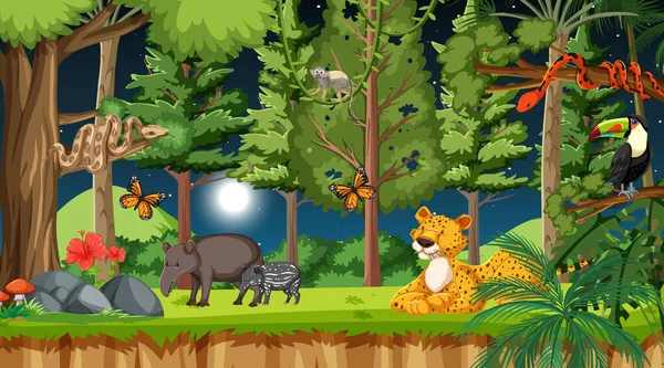 Bosque Escena Nocturna Con Diferentes Animales Salvajes Ilustración — Vector de stock