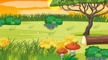 Gün batımında doğa parkının boş bir manzarası.