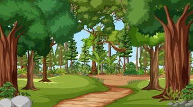 Orman sahnesinde çeşitli orman ağaçları gösterimi
