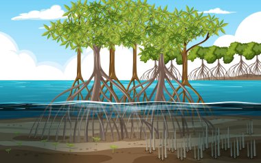 Mangrove Ormanı 'nın karikatür tarzı illüstrasyonuyla çekilmiş doğa sahnesi.