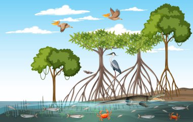 Mangrove Ormanı 'nda gündüz vakti hayvan resimleri gösteriliyor.
