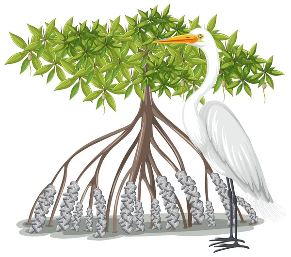 Μεγάλη Egret Δέντρο Mangrove Στυλ Κινουμένων Σχεδίων Λευκό Φόντο Εικονογράφηση — Διανυσματικό Αρχείο