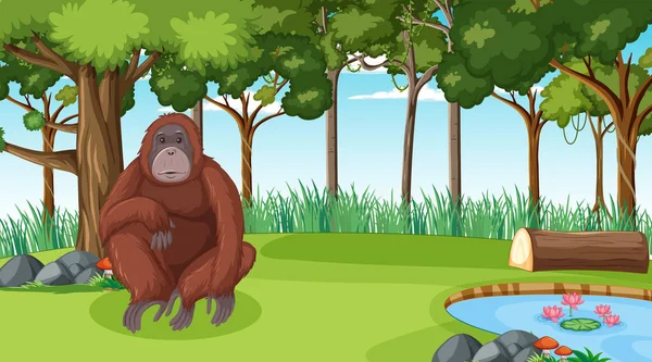 Orangutang Skog Eller Regnskog Scen Med Många Träd Illustration — Stock vektor