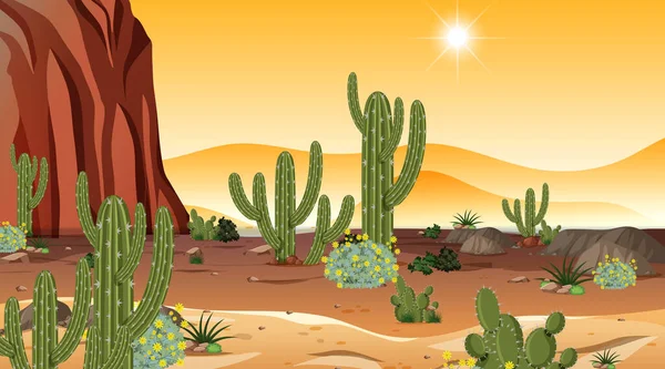 Desert forest landscape at sunset time scene with many cactuses illustration