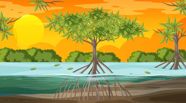 Mangrove Forest Landscape Scene Sunset Time Illustration — Stock Vector