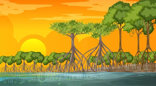 Mangrovenwälder Landschaft Szene Bei Sonnenuntergang Illustration — Stockvektor