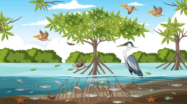 Mangrove Bos Landschap Scène Overdag Illustratie — Stockvector