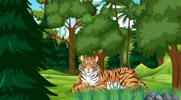 Tigre Cena Floresta Floresta Tropical Com Muitas Árvores Ilustração — Vetor de Stock