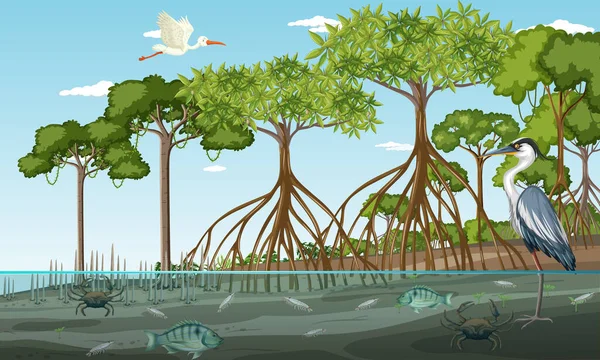 Mangrove Τοπίο Δάσος Σκηνή Την Ημέρα Πολλά Διαφορετικά Ζώα Εικονογράφηση — Διανυσματικό Αρχείο