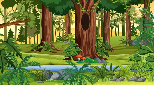 Orman manzarası günbatımında birçok farklı ağaç resmedilmiş.