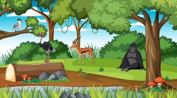 Deštných Pralesů Scéna Různými Divokými Zvířaty Ilustrace — Stockový vektor