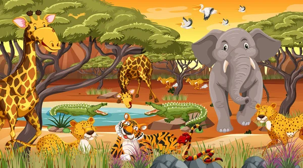 Animales Salvajes Selva Ilustración — Archivo Imágenes Vectoriales