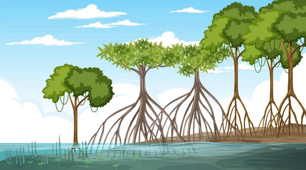 Mangrove Paysage Forestier Scène Illustration Jour — Image vectorielle