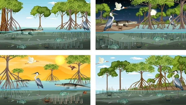 Diferentes Cenários Florestais Manguezal Com Animais Plantas Ilustração —  Vetores de Stock