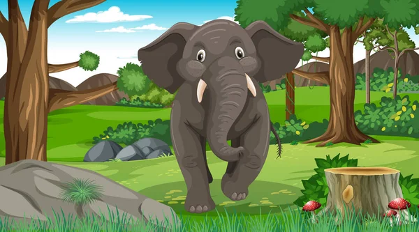 Elefante Escena Del Bosque Selva Tropical Con Muchos Árboles Ilustración — Archivo Imágenes Vectoriales